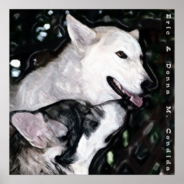 Poster Alfa Pair (Frente)