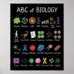 Poster Alfabeto Biologia Educação Ciências Professor Alun