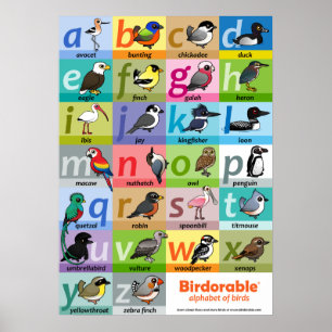 Poster Alfabeto Birdorável de Aves