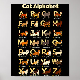 Poster Alfabeto de gato humorístico vibração de professor