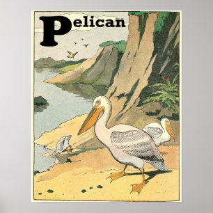 Póster Alfabeto do livro da história do pelicano