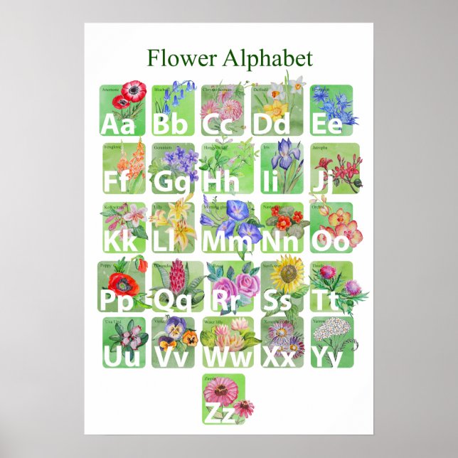 Poster Alfabeto Flor (Frente)