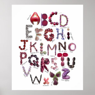 Poster Alfabeto Grená e Roxo   Frutas e Legumes