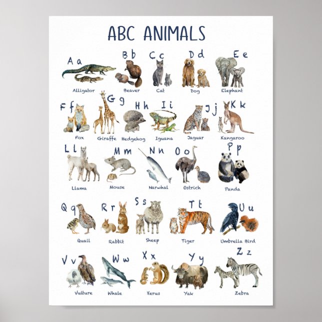 Poster Alfabetos animais de volta ao dia da escola (Frente)
