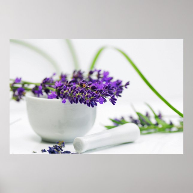 Poster Alfazema fragrância (Frente)