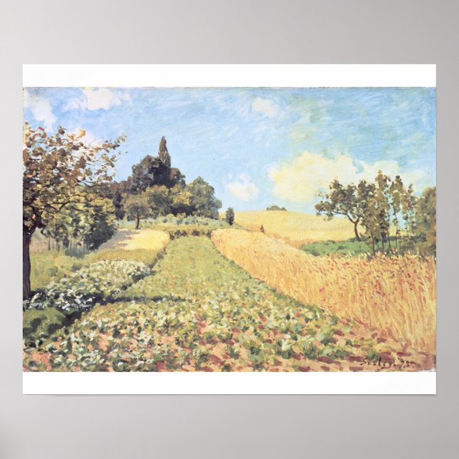 Póster Alfred Sisley | Campo de trigo (Frente)