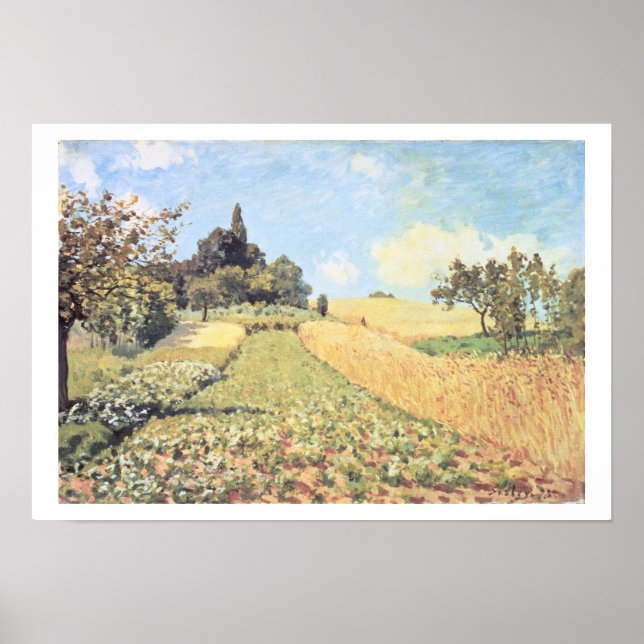 Póster Alfred Sisley | Campo de trigo (Frente)