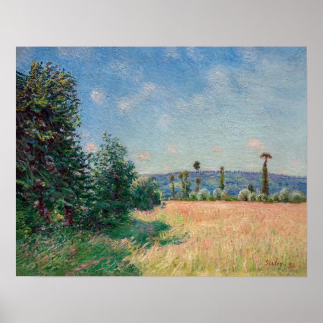 Poster Alfred Sisley - Sahurs Meadows na manhã do sol (Frente)