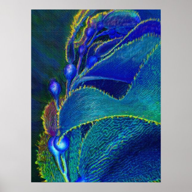 Póster alga azul (Frente)