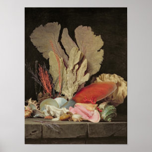 Póster Alga, Lithophytes e Seashells