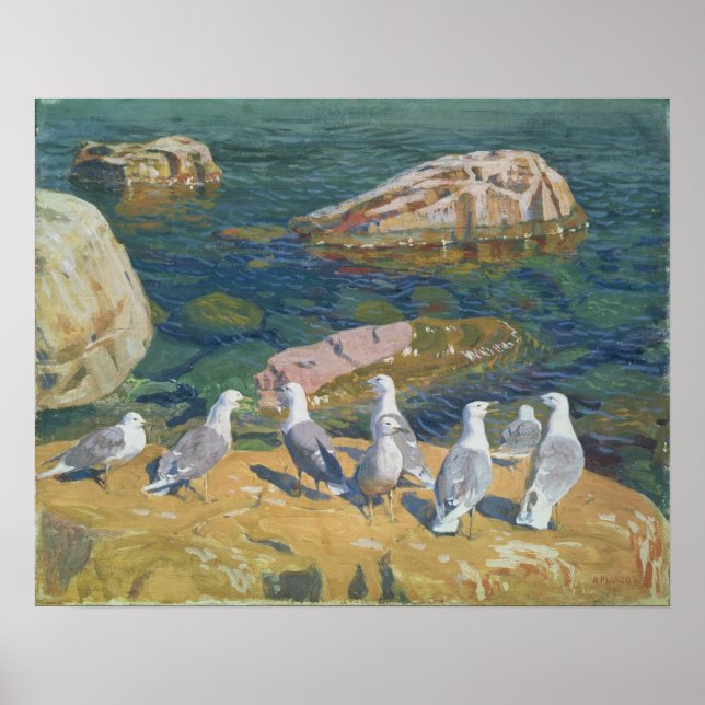 Poster Algas, 1910 (Frente)