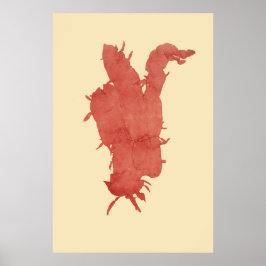 Poster Algas Presas Originais Segundo De Quatro