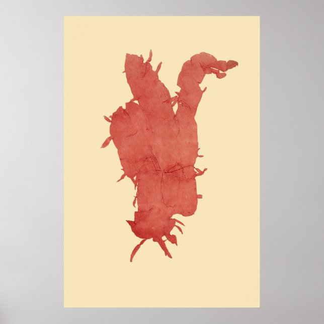 Poster Algas Presas Originais Segundo De Quatro (Frente)