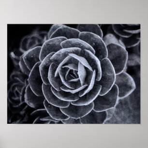 Póster Algo diferente