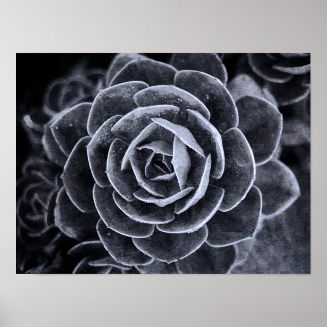 Póster Algo diferente (Frente)