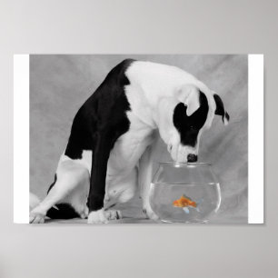 Póster Algo para comer, talvez?