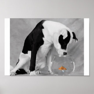 Póster Algo para comer, talvez?