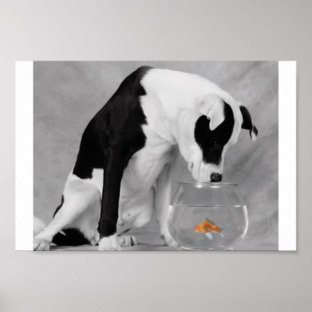 Póster Algo para comer, talvez? (Frente)