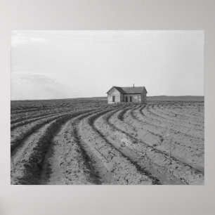 Poster Algodão Campo, 1938. Foto do vintage