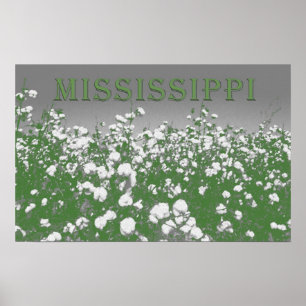 Poster Algodão de Mississippi