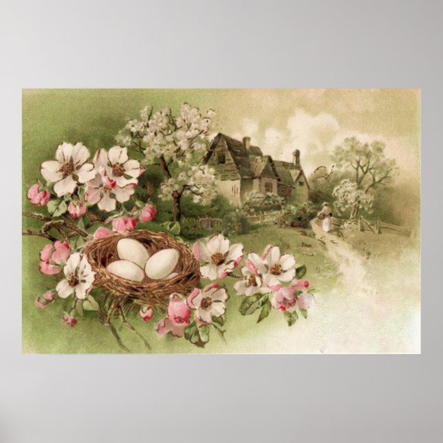 Póster Algodão De Ovo De Pássaros De Árvore Dogwood (Frente)