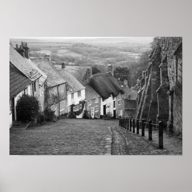 Póster Algodão em colina ouro, Shaftesbury, Dorset, En (Frente)