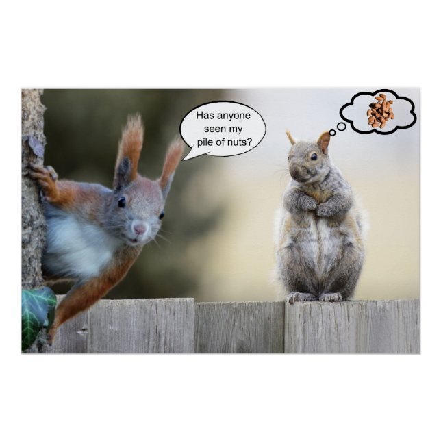 Póster Alguém viu meus loucos? (Frente)