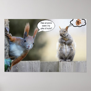 Poster Alguém viu meus nozes?