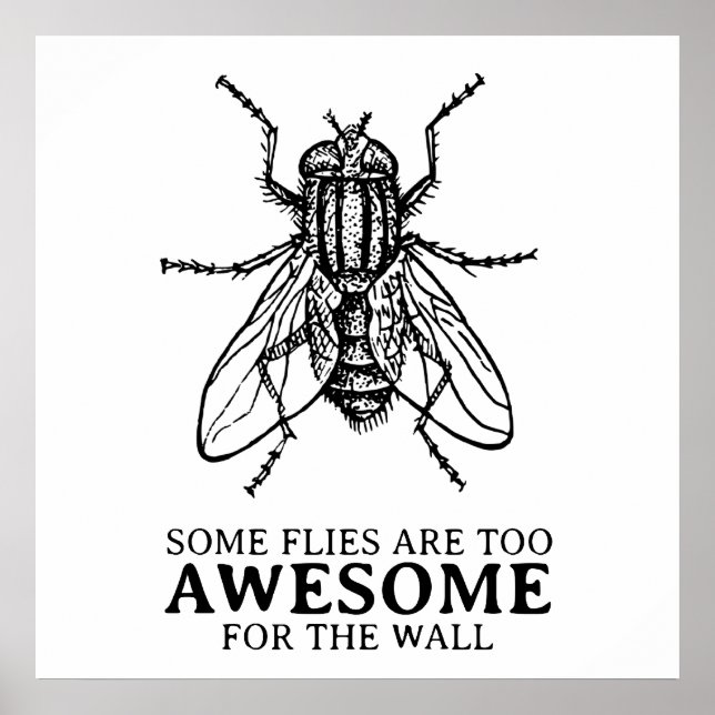 Póster Algumas Moscas (Frente)