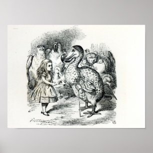 Póster Alice encontra o Dodo