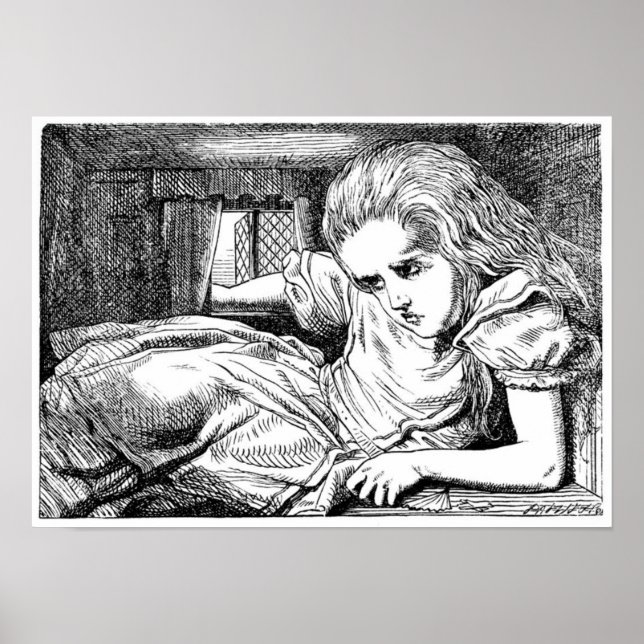 Poster Alice na Casa do Coelho Branco (Frente)