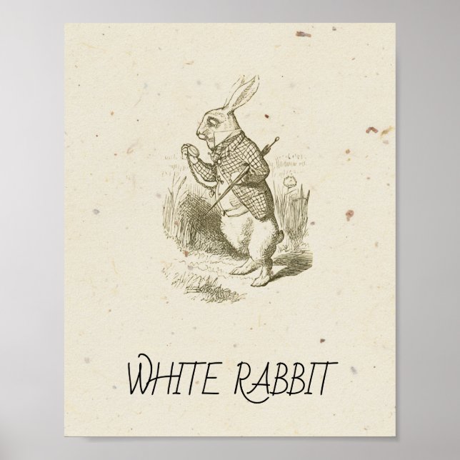 Poster Alice no País das Maravilhas - COELHO BRANCO (Frente)