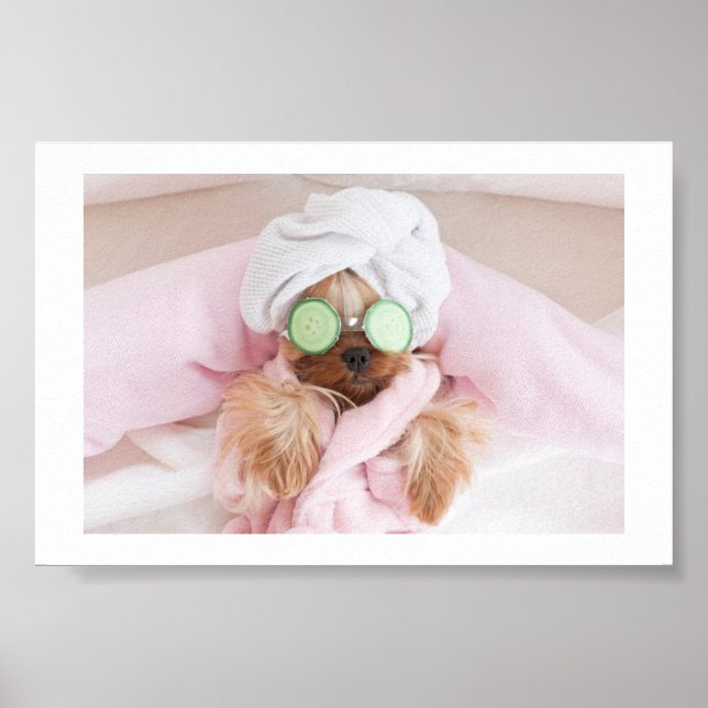 Poster aliciamento de cães/poster de spa de cão (Frente)