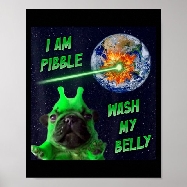 Poster Alien Bble Funny Brainrot Dog Meme Space I Am Bble (Frente)