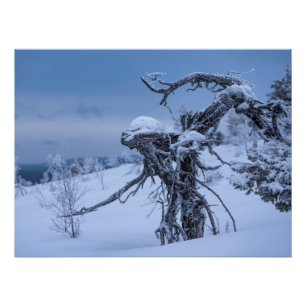 Póster Alienígena de madeira inverno