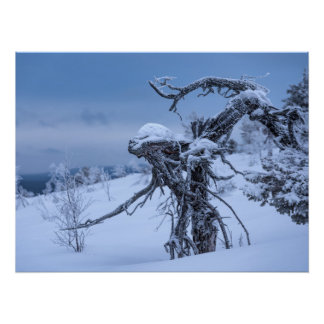 Póster Alienígena de madeira inverno