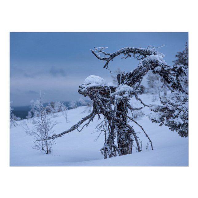 Póster Alienígena de madeira inverno (Frente)