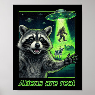 Poster Alienígenas são reais guaxinim selfie ufo pé-grand