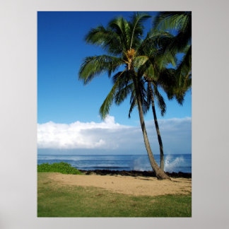 Poster Ali'i Beach 19