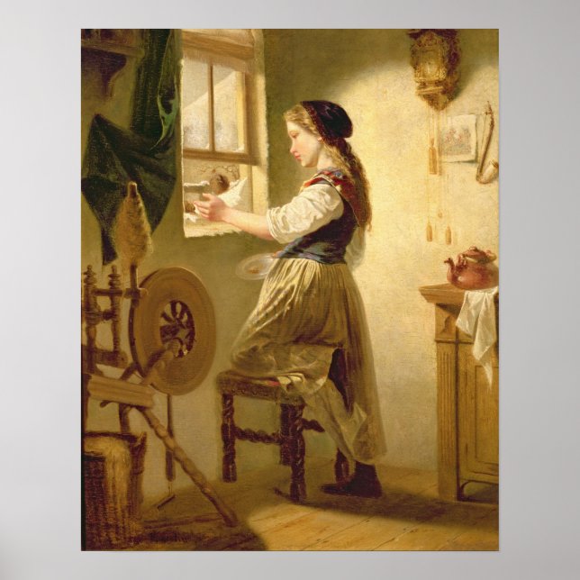 Poster Alimentação das aves no inverno (Frente)