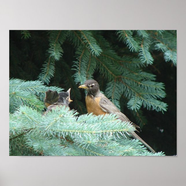 Poster Alimentando o bebê (Frente)