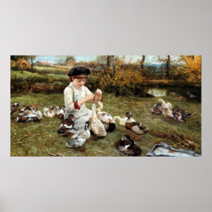 Poster Alimentar os Patos