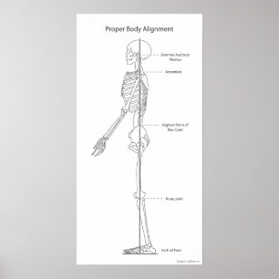 Póster Alinhamento apropriado do corpo