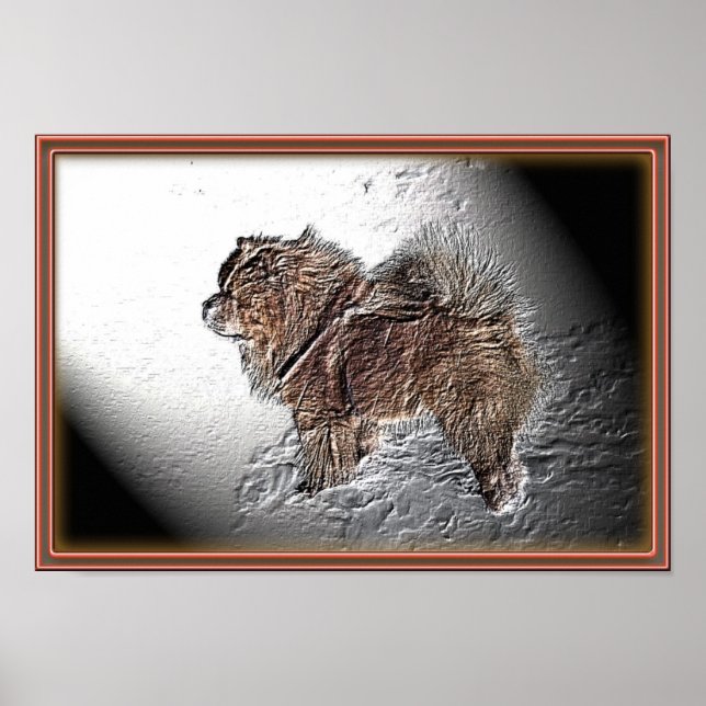 Póster Alivio Ama (Frente)