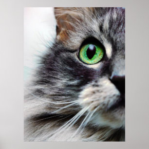 Póster Allie (meia cara)