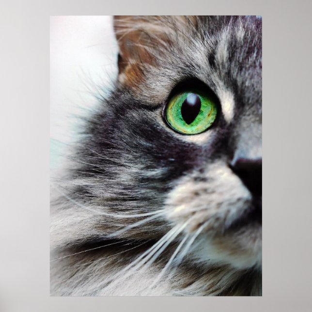 Póster Allie (Meia Face) (Frente)