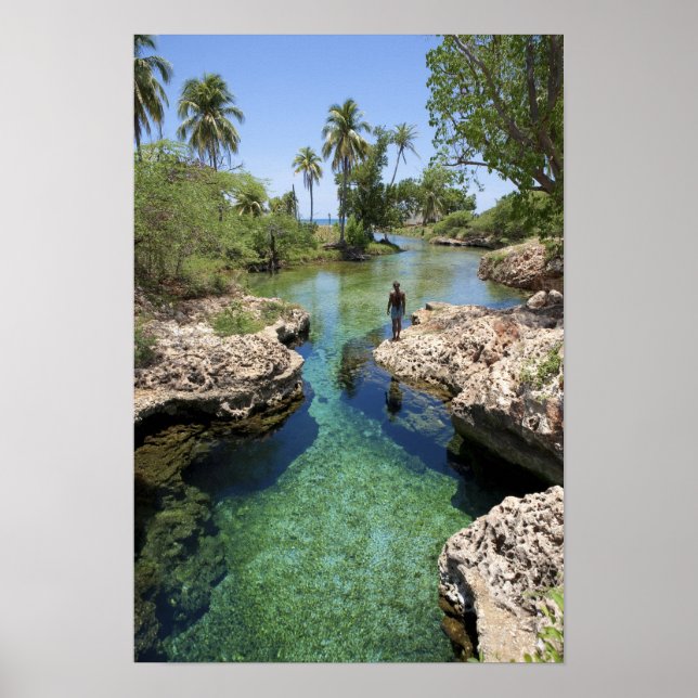 Poster Alligator Hole, Black River Town, Jamaica (Frente)