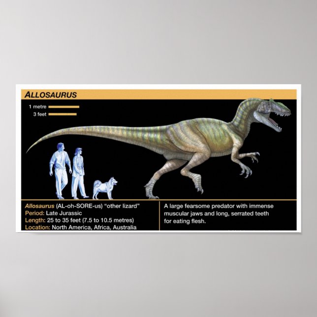 Poster Allosaurus - Biology Jurassic (Frente)