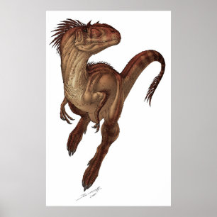 Póster Allosaurus fragilis