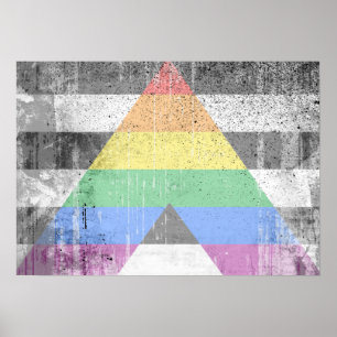 Poster ALLY FLAG DISTRESSED -.png